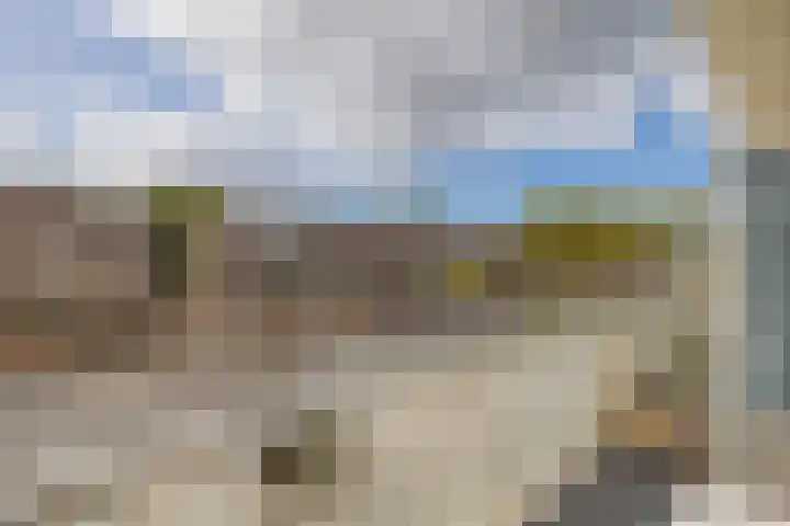 Palet 20 Hillegom thumbnail 18