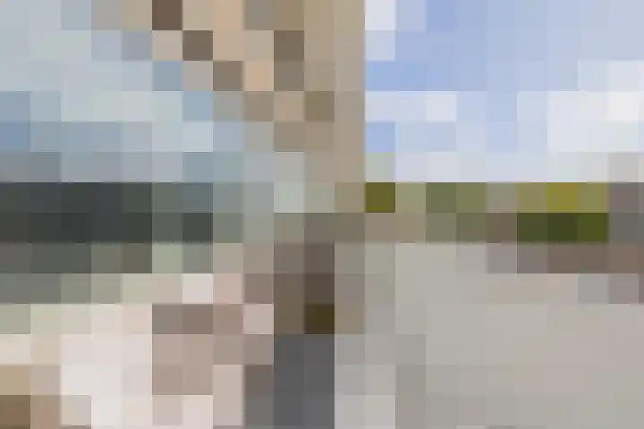 Palet 20 Hillegom thumbnail 19