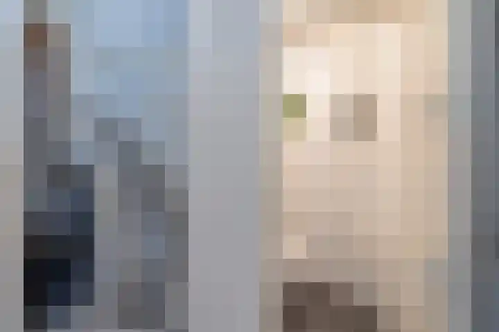 Palet 20 Hillegom thumbnail 22