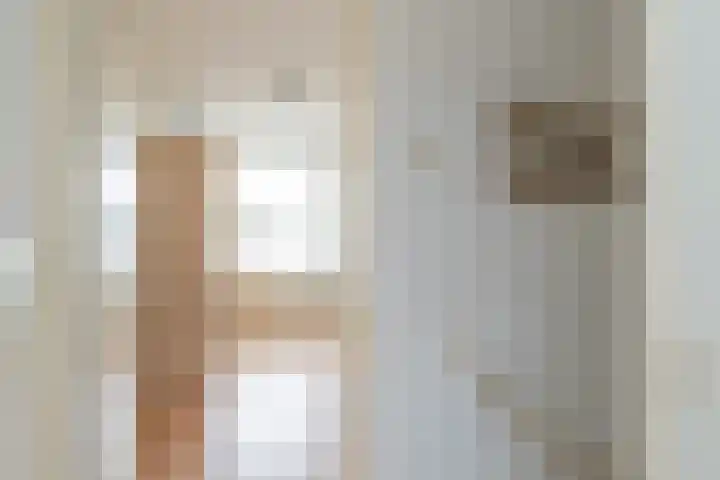 Palet 20 Hillegom thumbnail 23