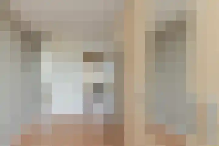 Palet 20 Hillegom thumbnail 26