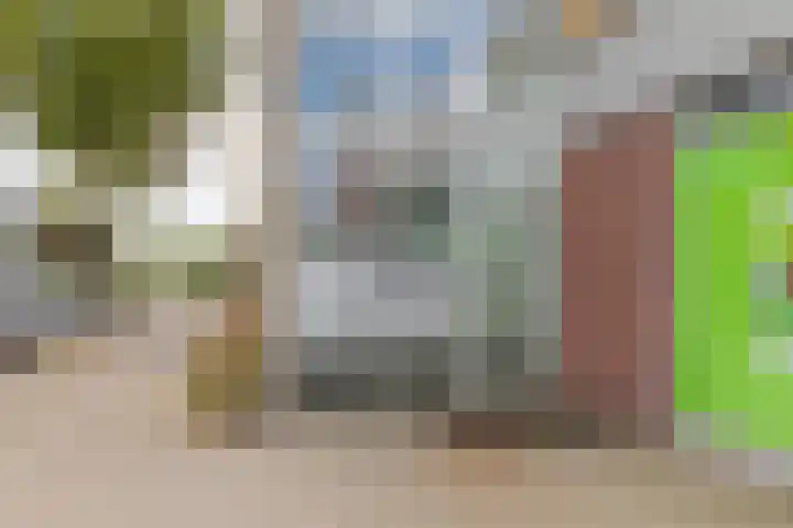 Palet 20 Hillegom foto 3