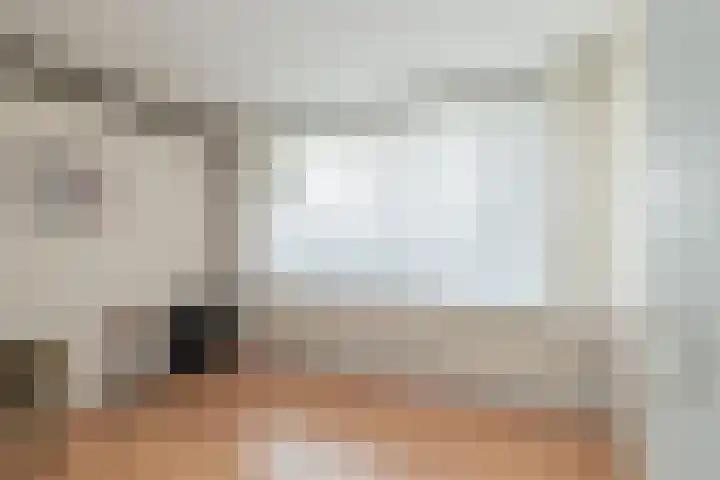 Palet 20 Hillegom thumbnail 31