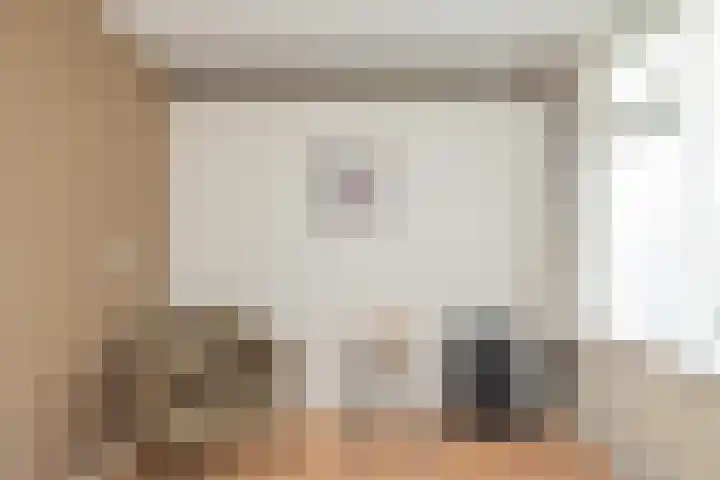 Palet 20 Hillegom thumbnail 32