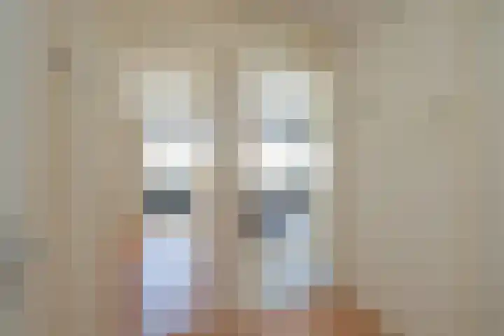 Palet 20 Hillegom thumbnail 35