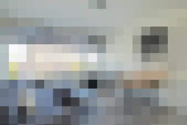 Palet 20 Hillegom thumbnail 38