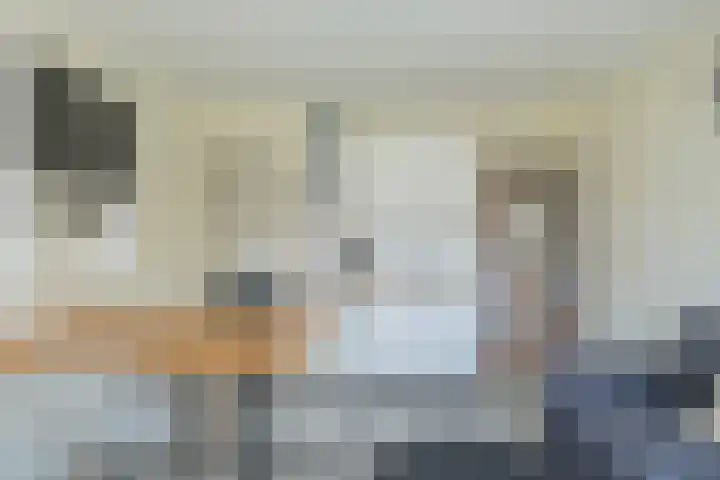 Palet 20 Hillegom thumbnail 39
