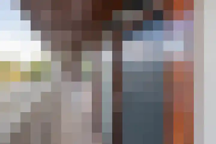 Palet 20 Hillegom thumbnail 4