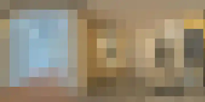Palet 20 Hillegom thumbnail 44