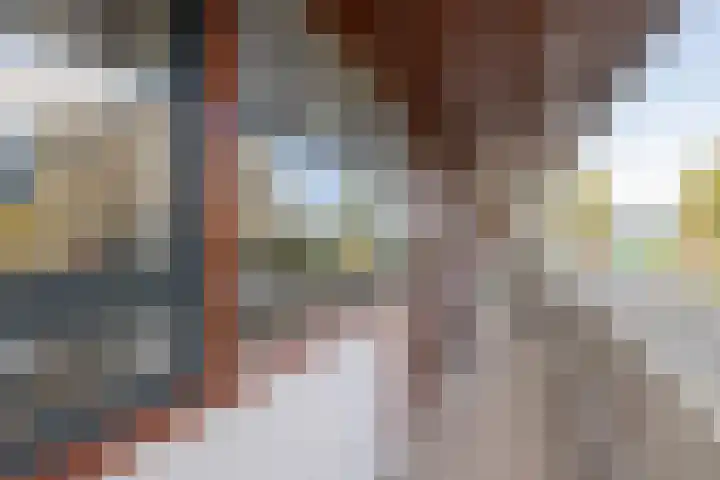 Palet 20 Hillegom thumbnail 5