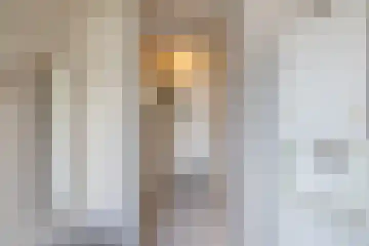 Palet 20 Hillegom thumbnail 6