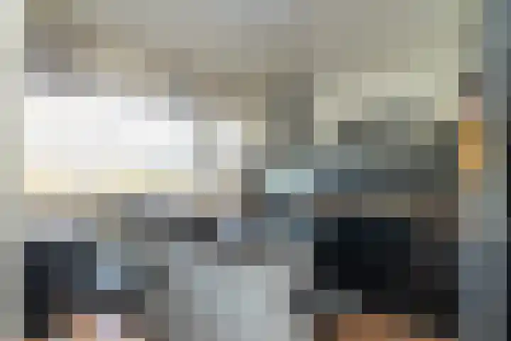 Palet 20 Hillegom thumbnail 8