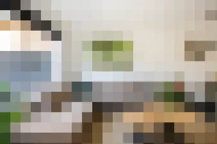 Palet 25 Capelle aan den IJssel thumbnail 10