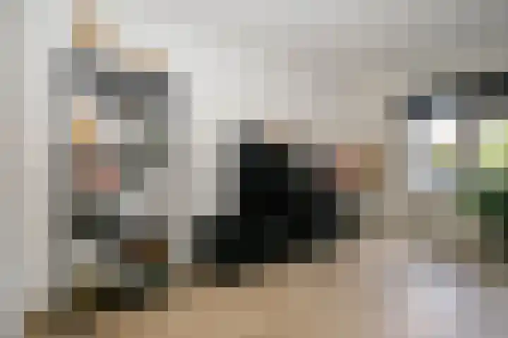 Palet 25 Capelle aan den IJssel thumbnail 11