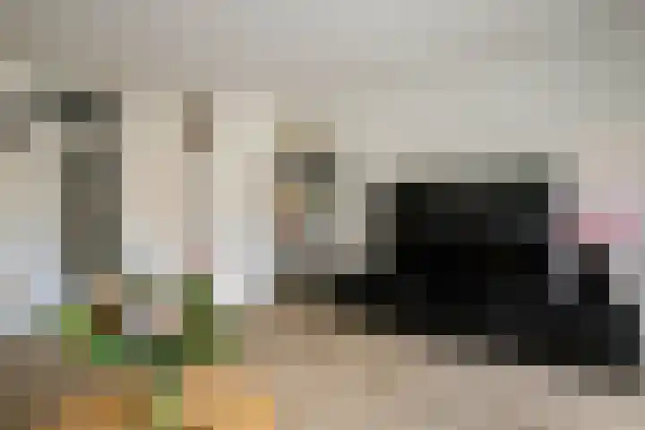 Palet 25 Capelle aan den IJssel thumbnail 12