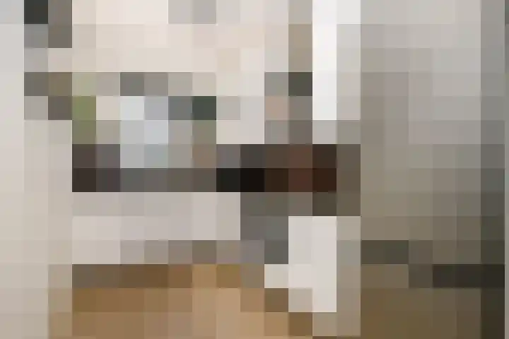 Palet 25 Capelle aan den IJssel thumbnail 13