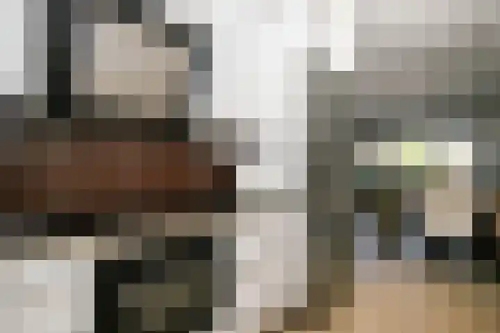 Palet 25 Capelle aan den IJssel thumbnail 14