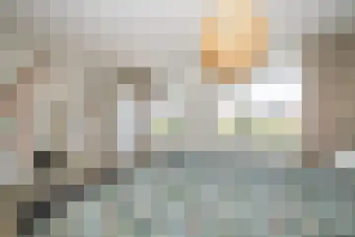 Palet 25 Capelle aan den IJssel thumbnail 17