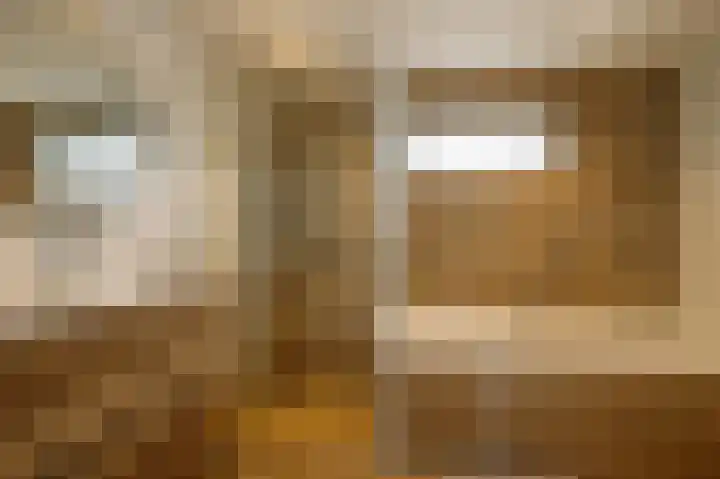 Palet 25 Capelle aan den IJssel thumbnail 20