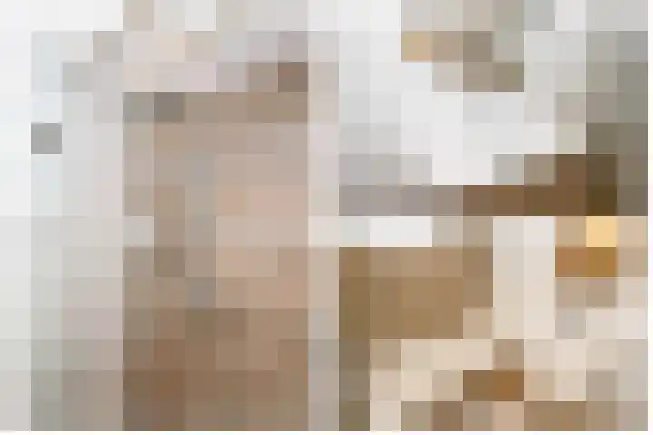 Palet 25 Capelle aan den IJssel thumbnail 21