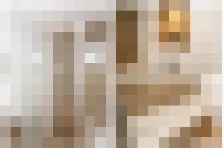 Palet 25 Capelle aan den IJssel thumbnail 22