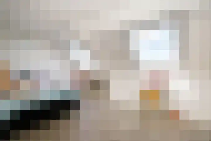 Palet 25 Capelle aan den IJssel thumbnail 25