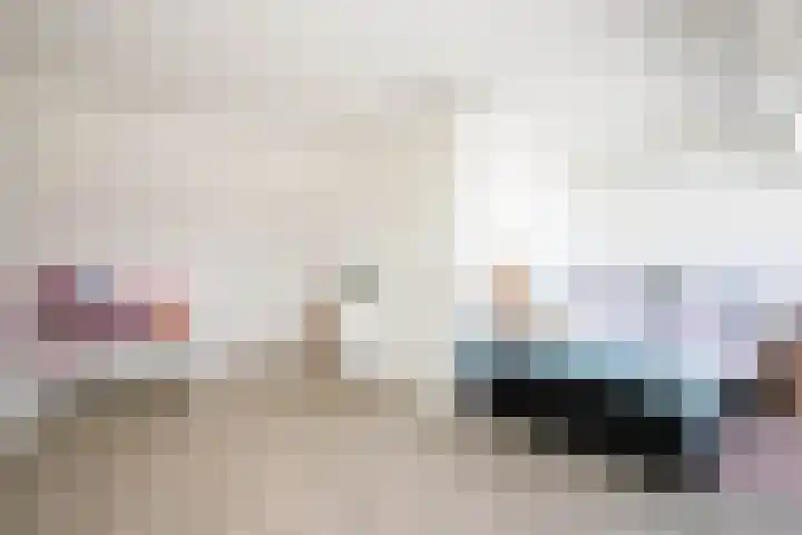 Palet 25 Capelle aan den IJssel thumbnail 26
