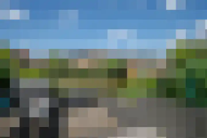 Palet 25 Capelle aan den IJssel thumbnail 29