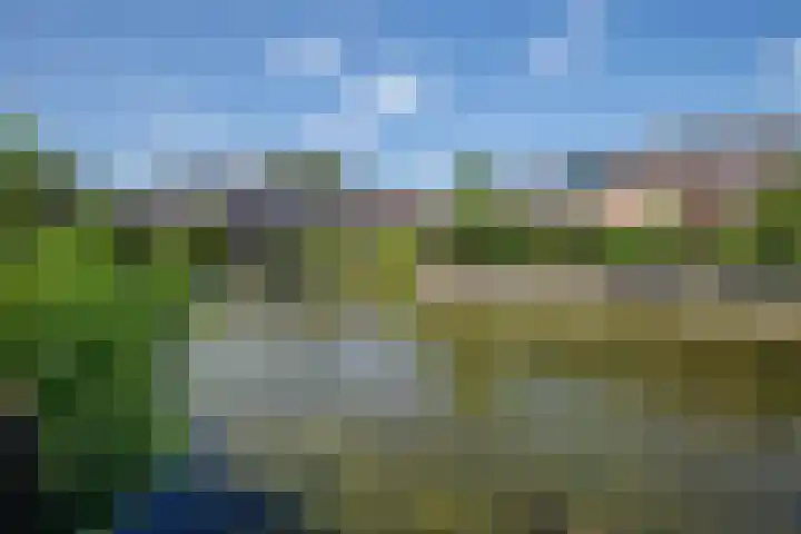 Palet 25 Capelle aan den IJssel thumbnail 30