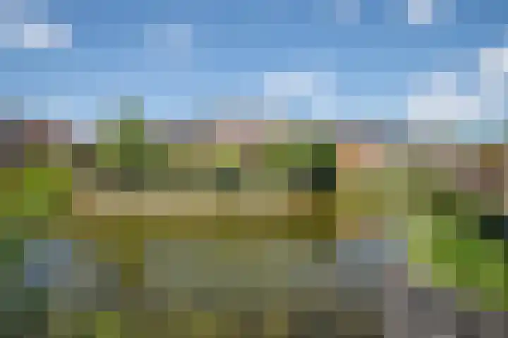 Palet 25 Capelle aan den IJssel thumbnail 31