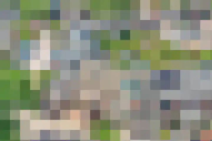 Palet 25 Capelle aan den IJssel thumbnail 34