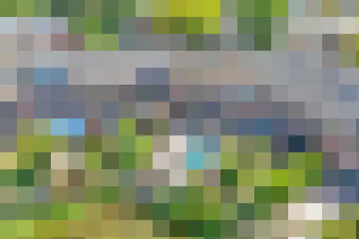 Palet 25 Capelle aan den IJssel thumbnail 35