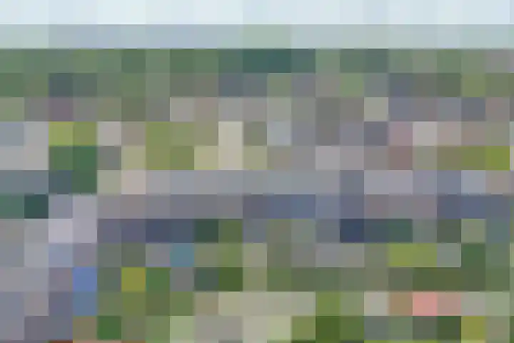 Palet 25 Capelle aan den IJssel thumbnail 36