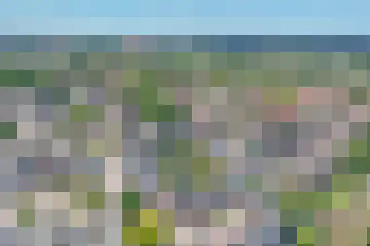 Palet 25 Capelle aan den IJssel thumbnail 37
