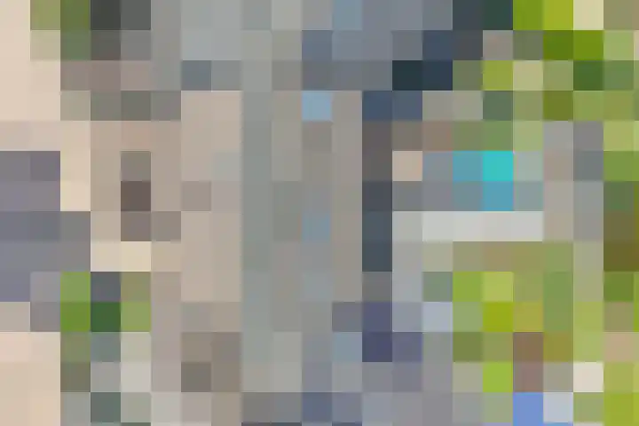 Palet 25 Capelle aan den IJssel thumbnail 39