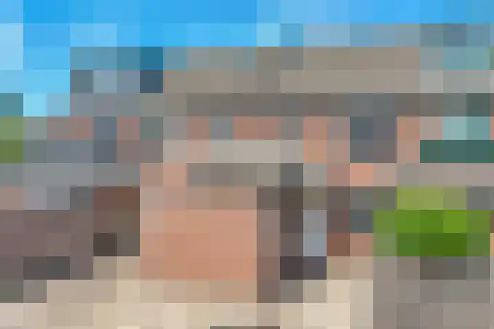 Palet 25 Capelle aan den IJssel thumbnail 4