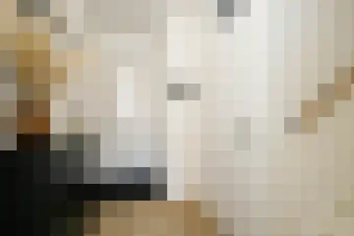Palet 25 Capelle aan den IJssel thumbnail 5