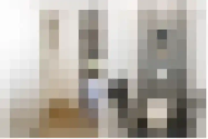 Palet 25 Capelle aan den IJssel thumbnail 6