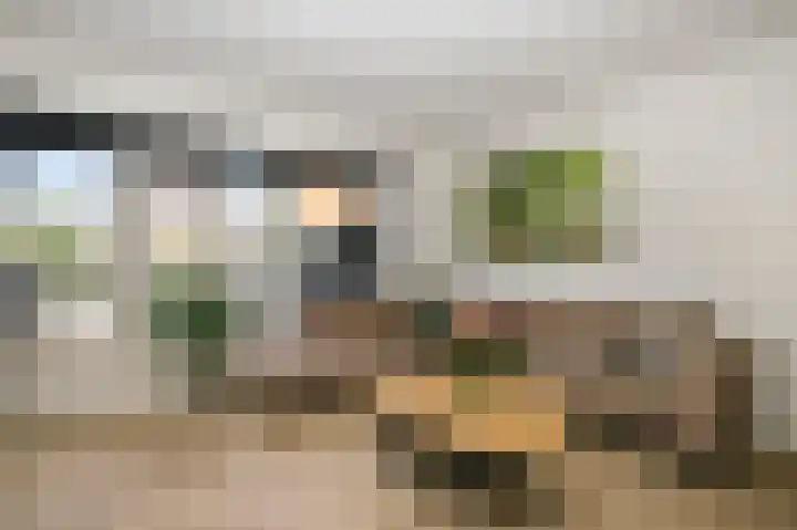 Palet 25 Capelle aan den IJssel thumbnail 7