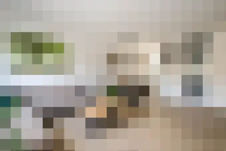 Palet 25 Capelle aan den IJssel thumbnail 8