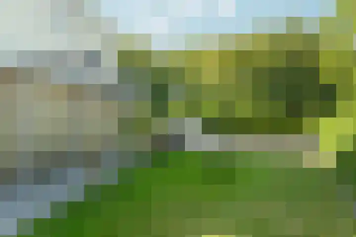 Paletlaan 65 Almere thumbnail 61
