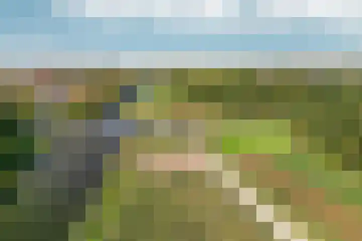Paletlaan 65 Almere thumbnail 76