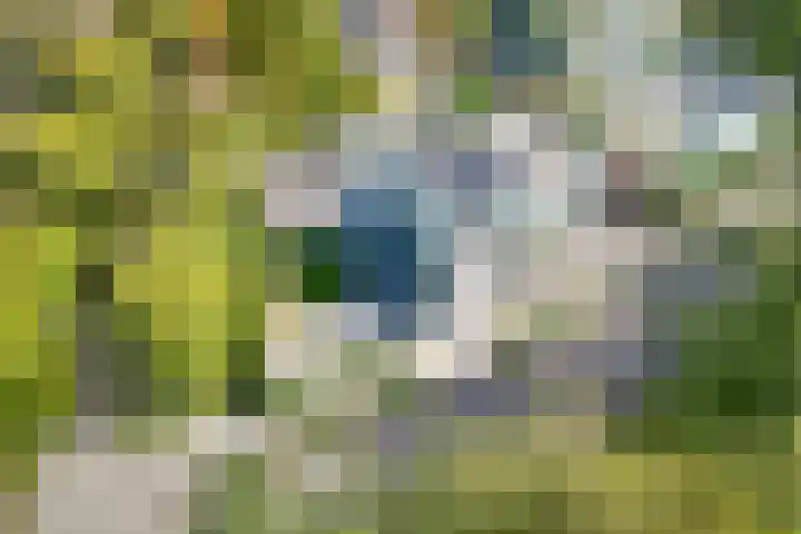 Paletlaan 65 Almere thumbnail 8