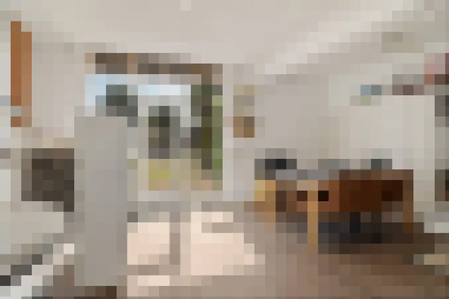 Paletsingel 106 Zoetermeer thumbnail 25