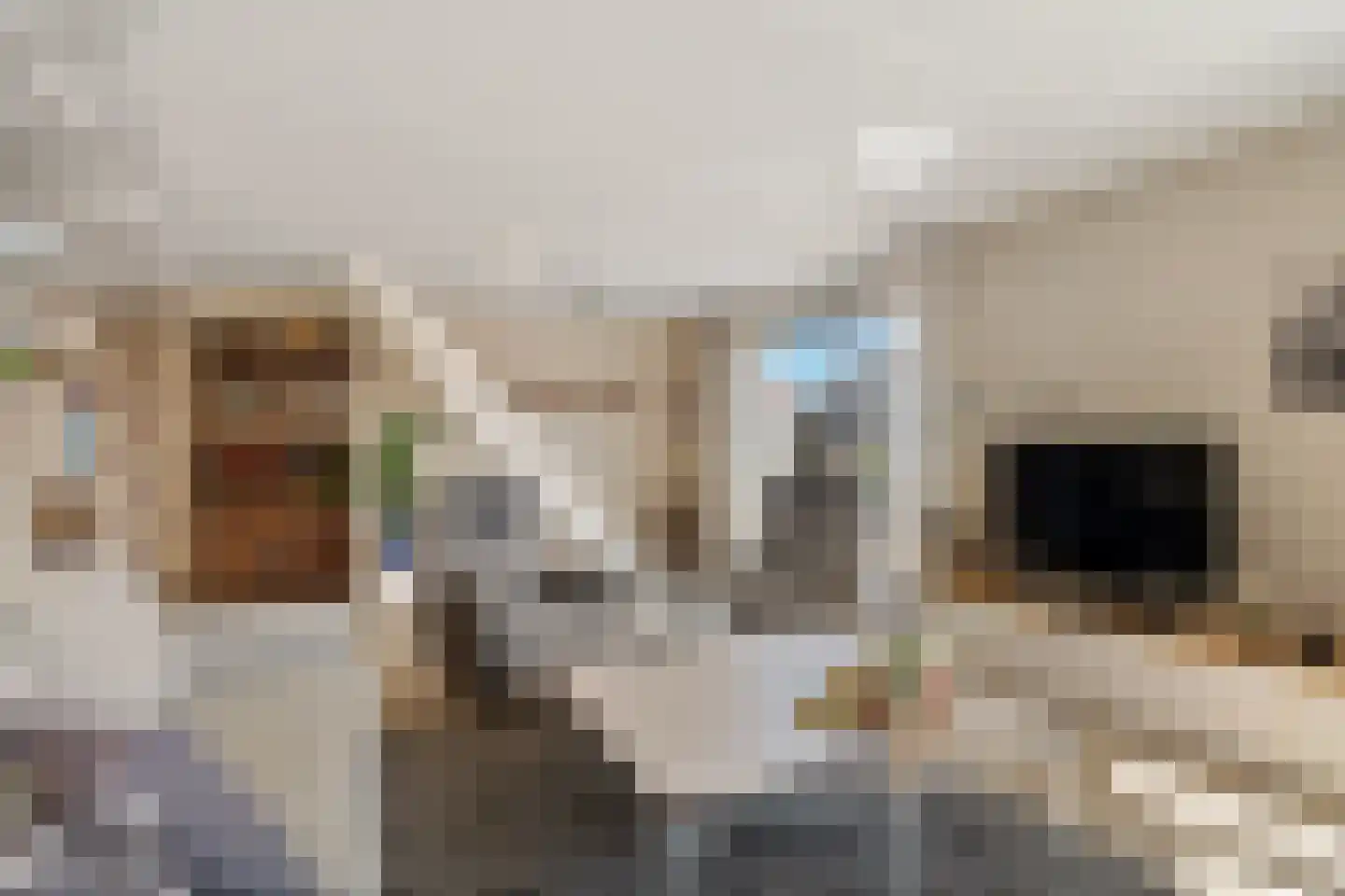 Paletsingel 106 Zoetermeer thumbnail 31