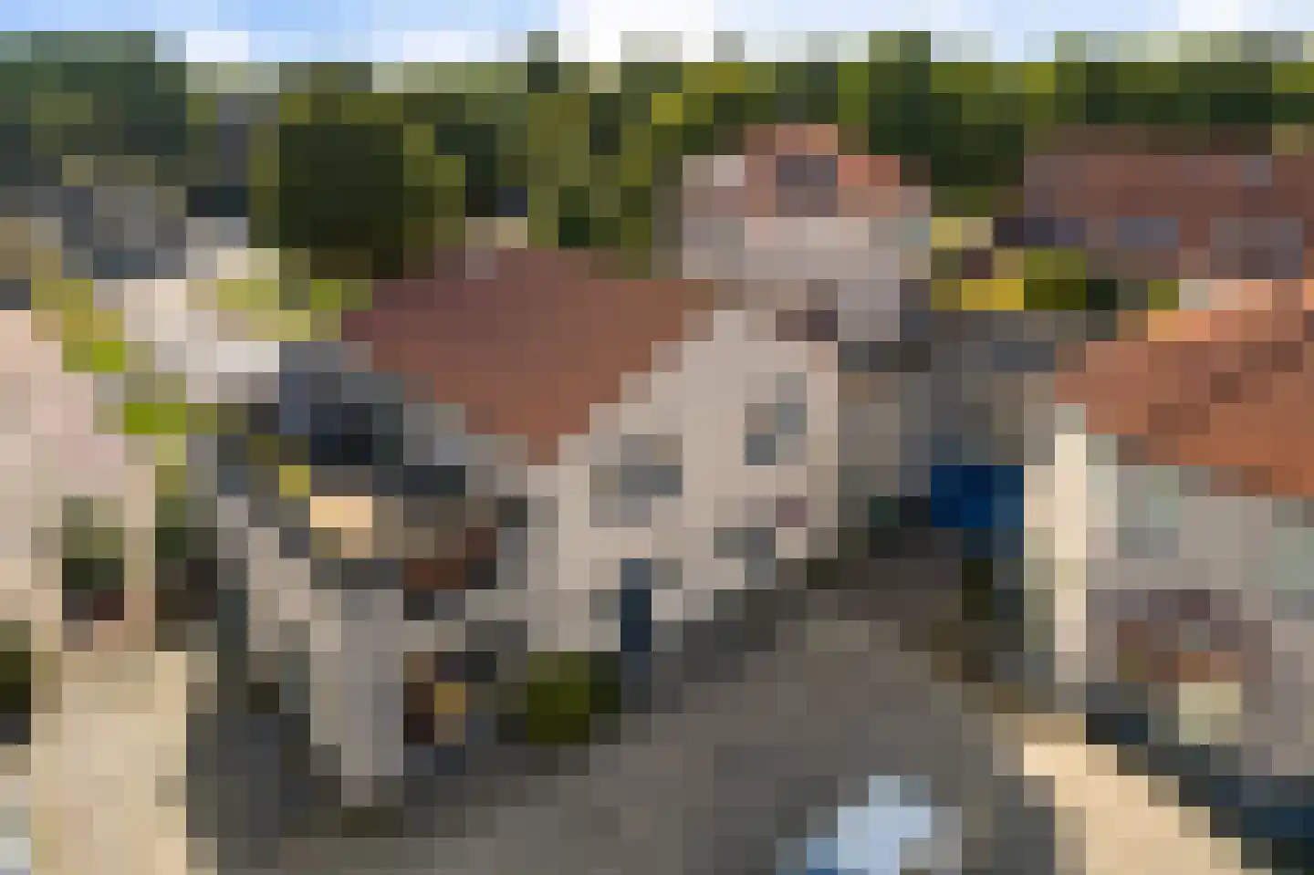 Paletsingel 106 Zoetermeer thumbnail 5
