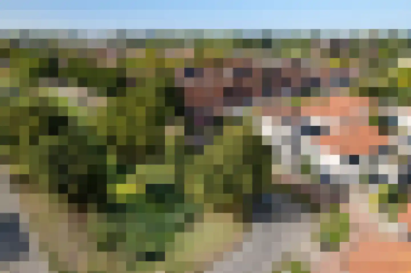 Paletsingel 106 Zoetermeer thumbnail 56