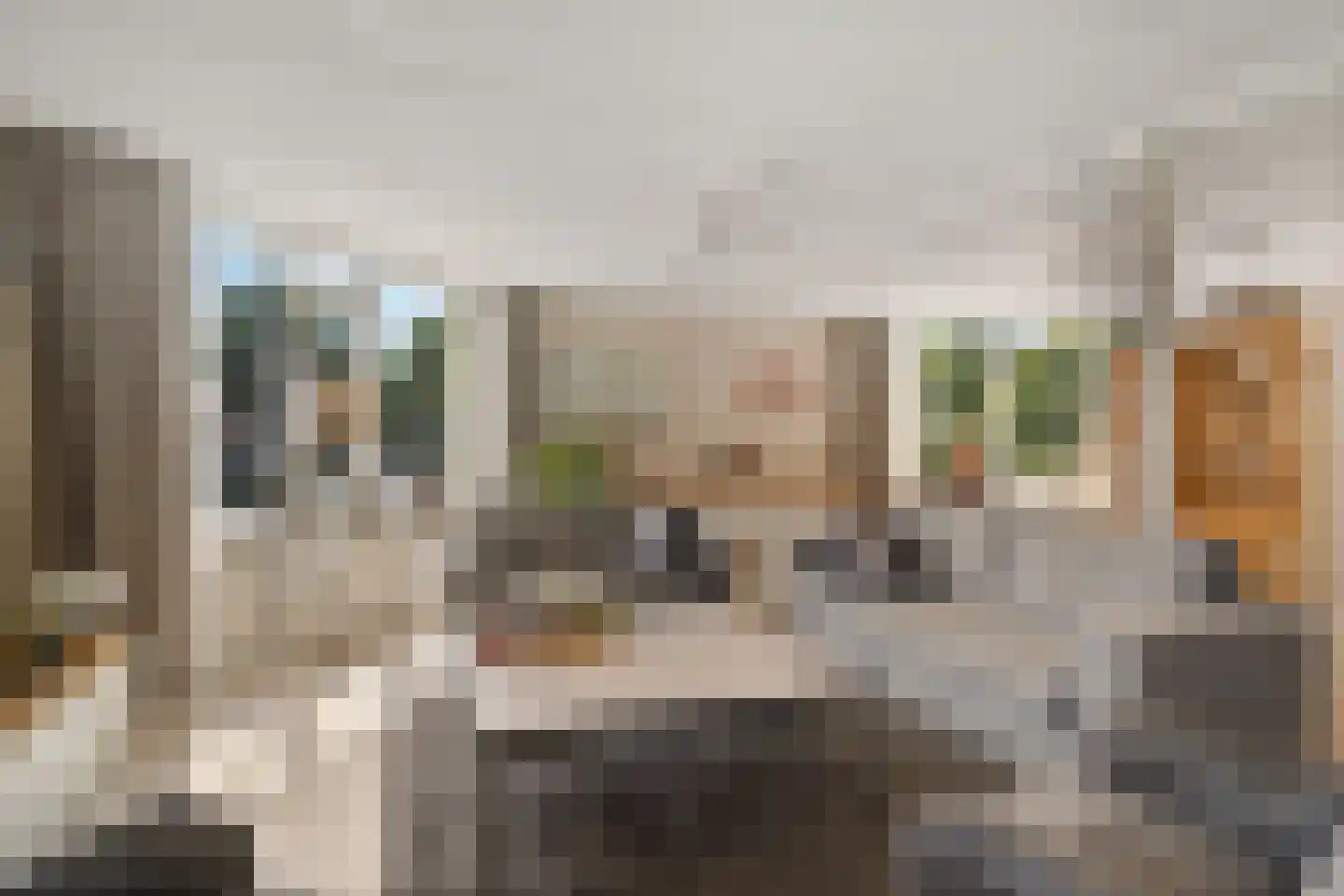 Paletsingel 106 Zoetermeer thumbnail 6