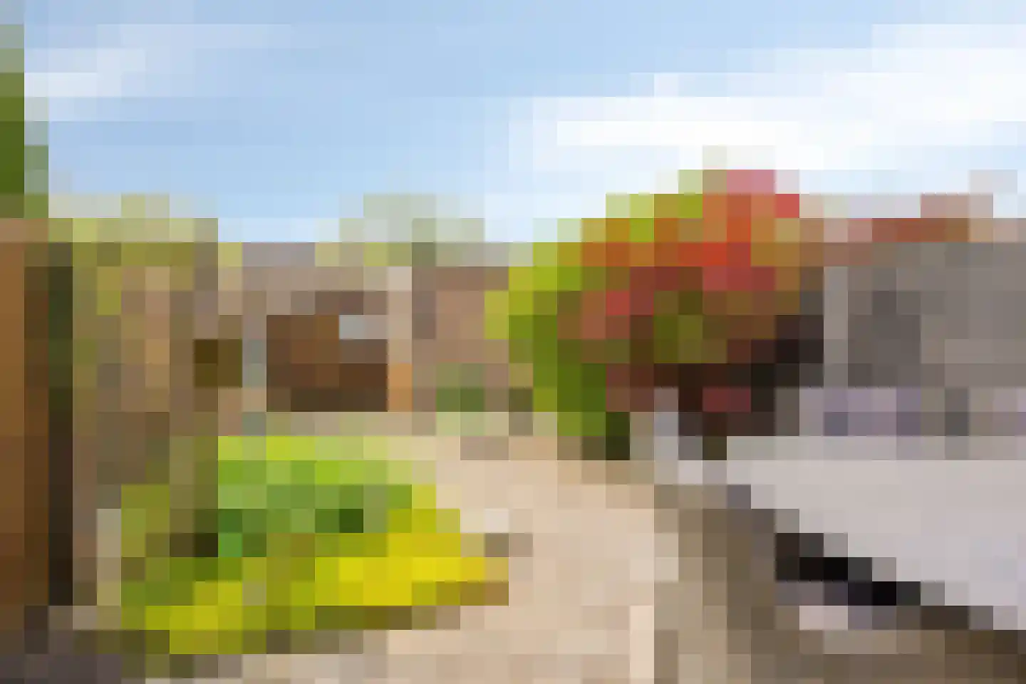 Paletsingel 157 Zoetermeer thumbnail 10
