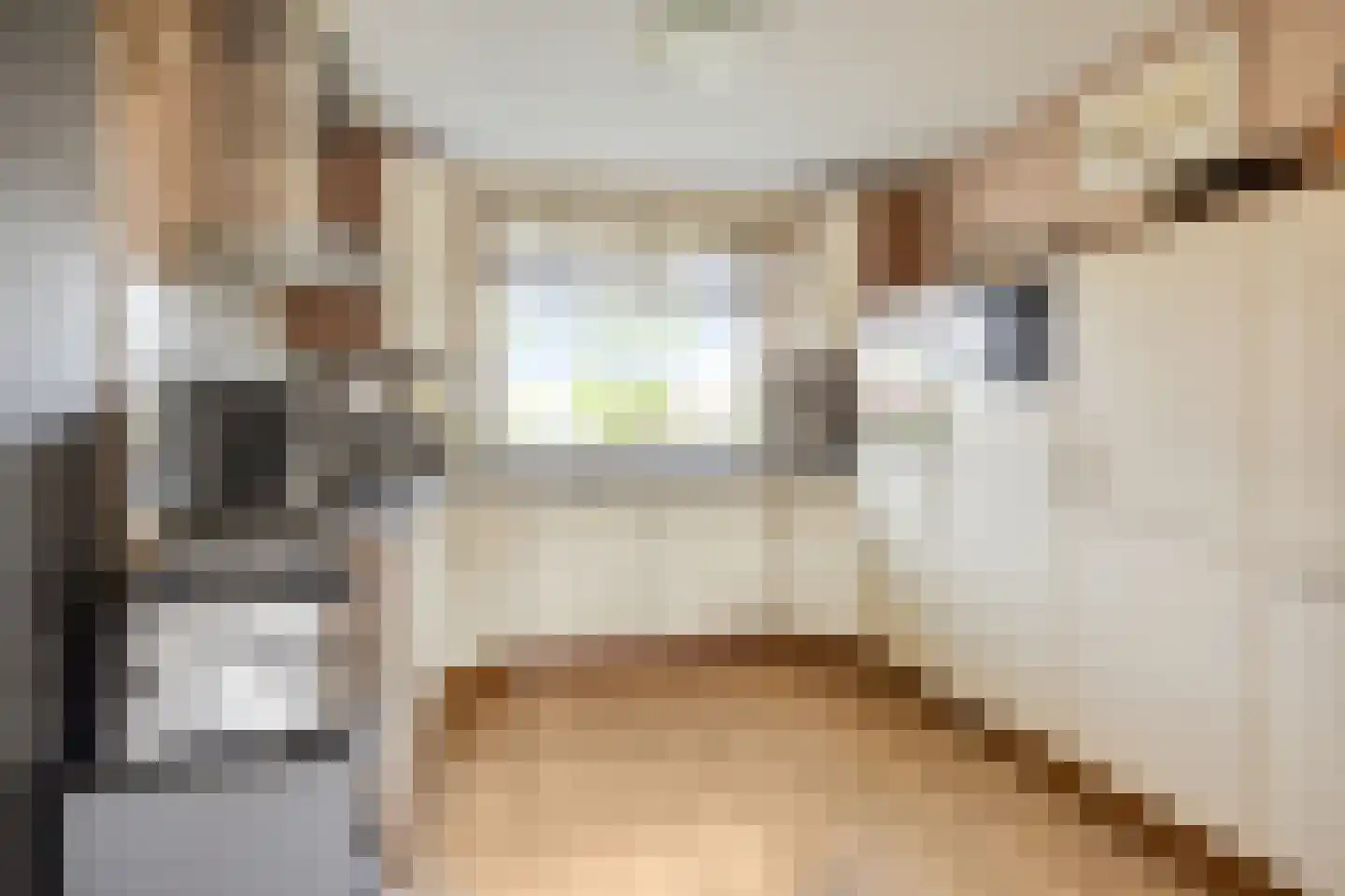 Paletsingel 157 Zoetermeer thumbnail 7